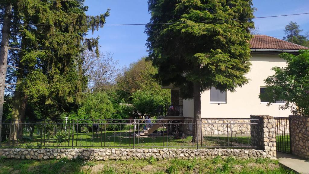 Šumski Raj- Forest Paradise photo 2