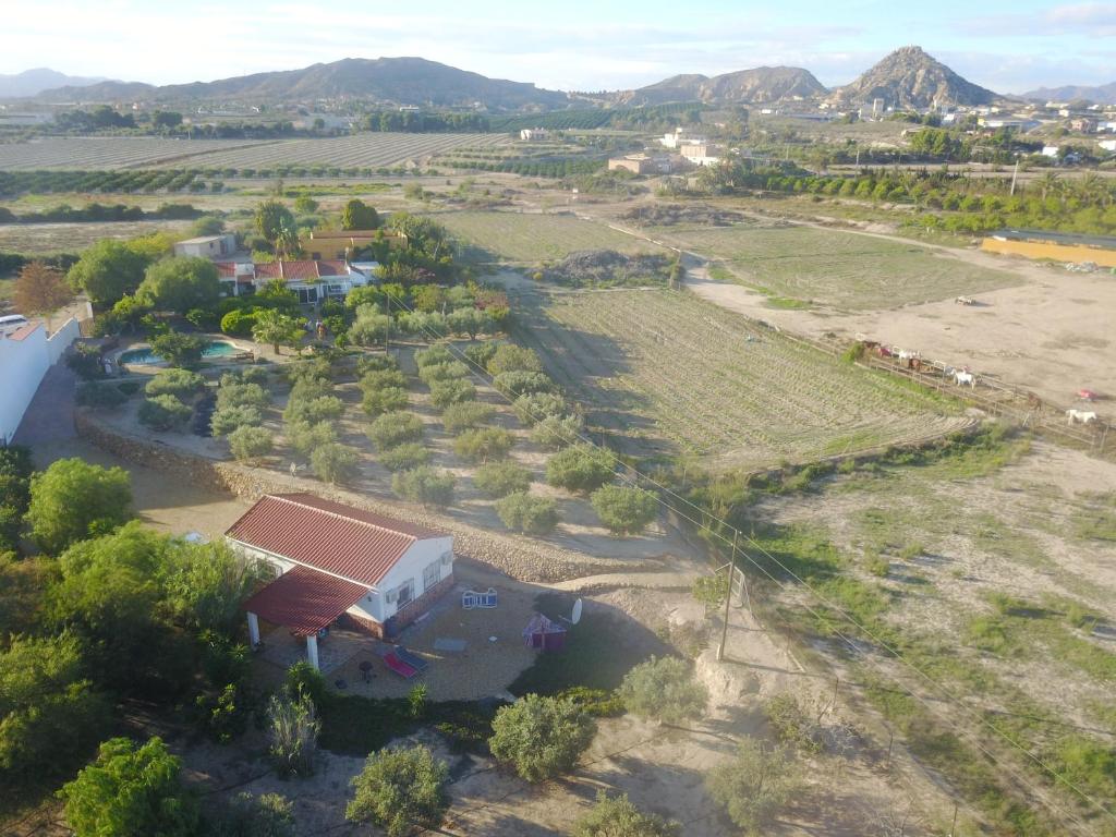 Finca Arboleda photo 2