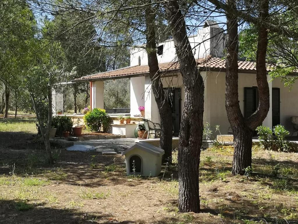 Casina la Rosina photo 1