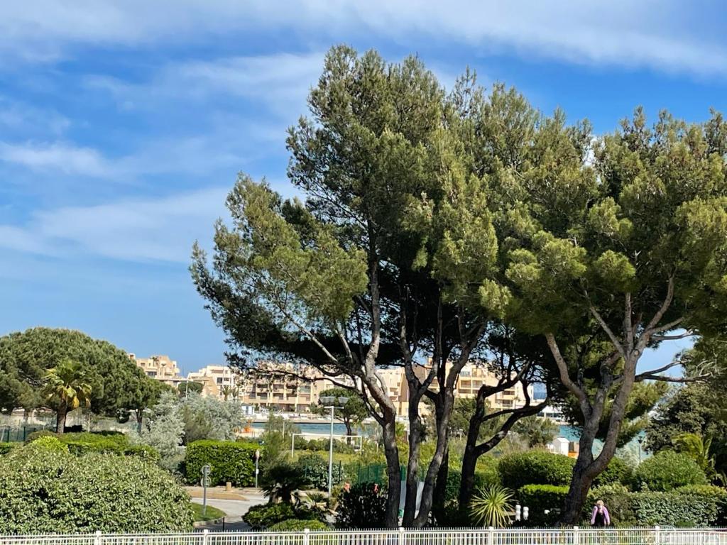 My Little Provence Bormes Les Mimosas photo 3