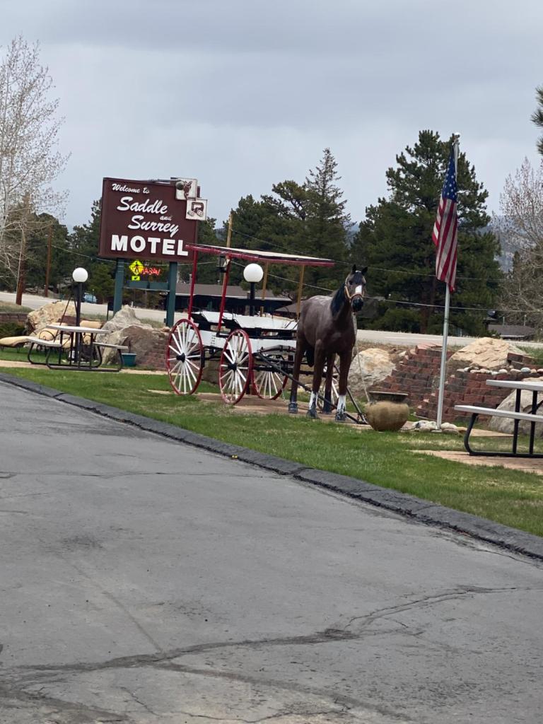 Saddle & Surrey Motel photo 1