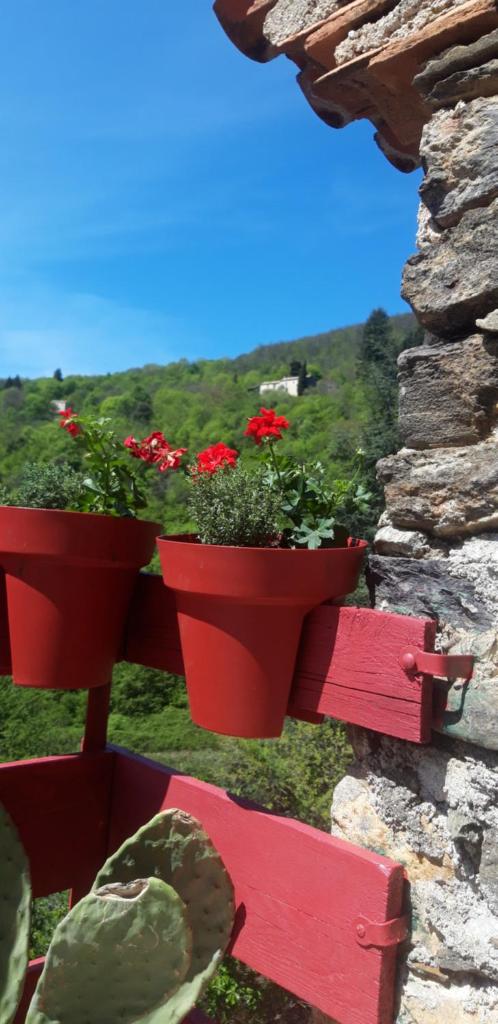 Gîtes chez Daniel "Cevennes 2" photo 3