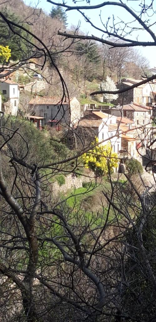 Gîtes chez Daniel "Cevennes 2" photo 4
