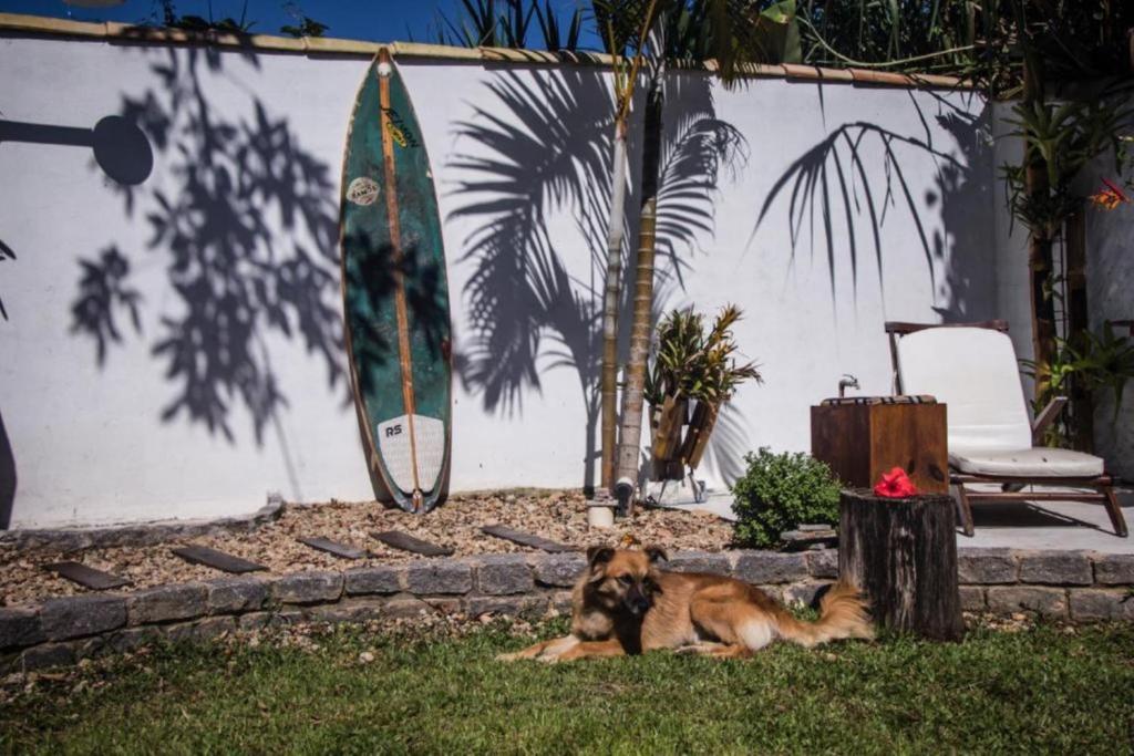 Planeta Banana Paraty photo 2