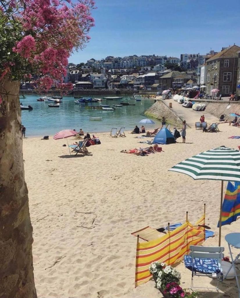 The Nest - St Ives - Tap to explore photos