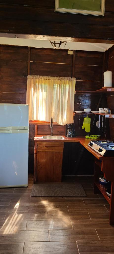 Wilton House Oceanview Cabin photo 3