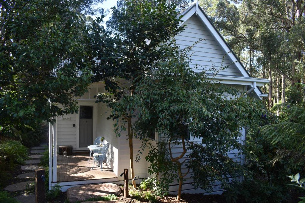 Fern Cottage - Mt Dandenong romance