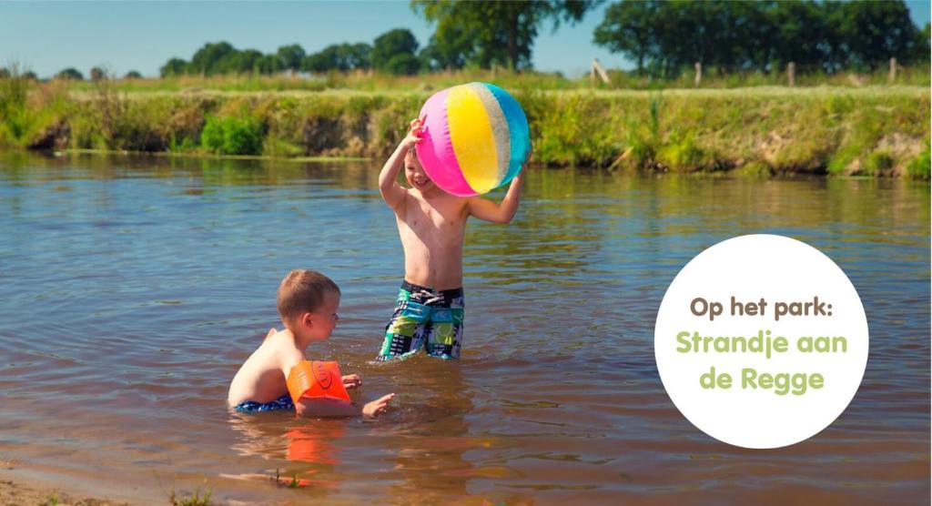 Pop-up glamping - Buurvrouws' Belltentje 2-4 pers photo 4