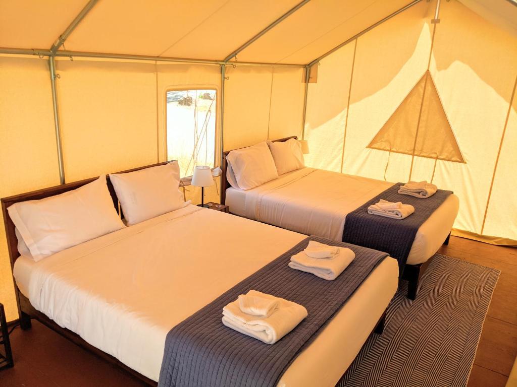 Wildhaven Sonoma Glamping photo 4