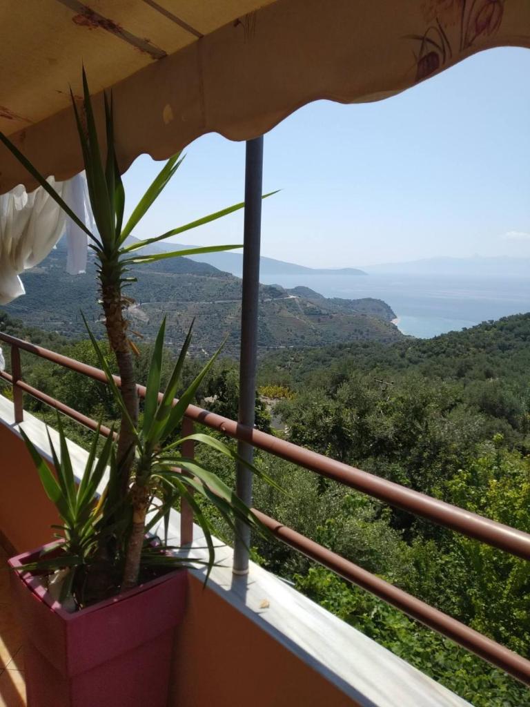 Villa Maria Luxury Apartments ''Bunec-Piqeras''! photo 1