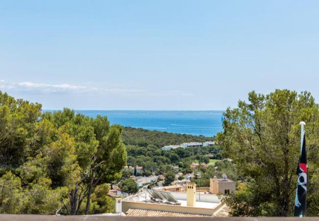 Villa Ocean View photo 4