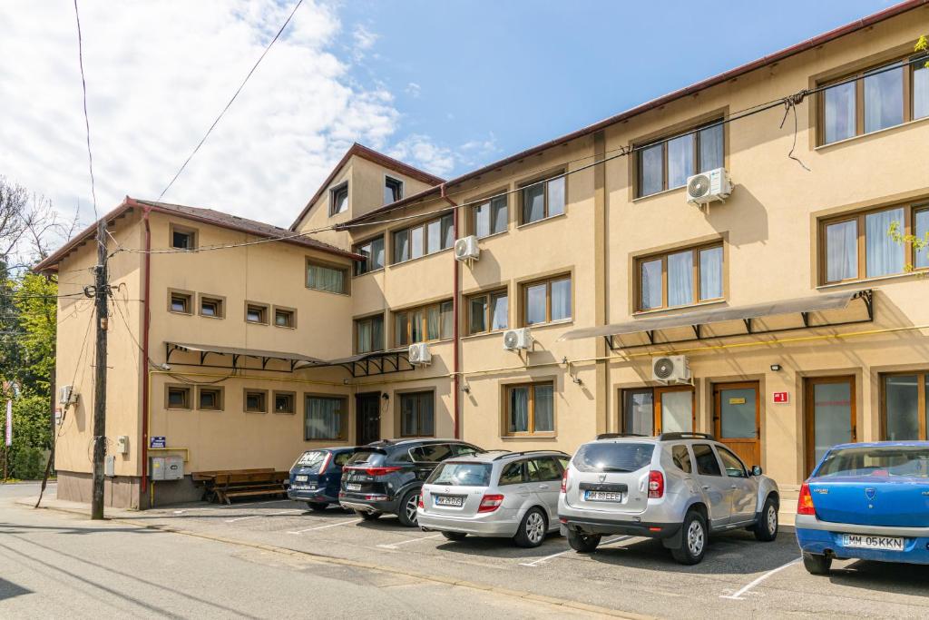 Pensiunea Pictorilor photo 1