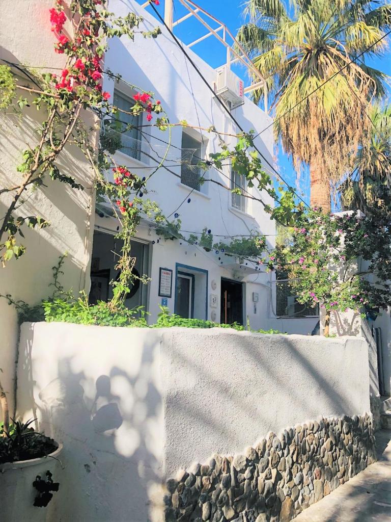 Denizati Pension photo 3