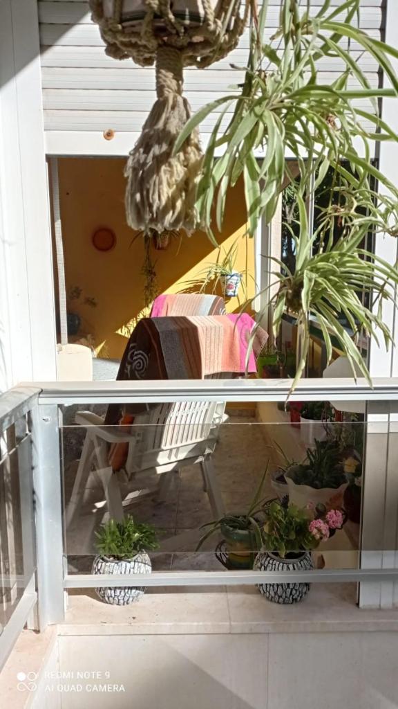 Casa del Buho photo 4