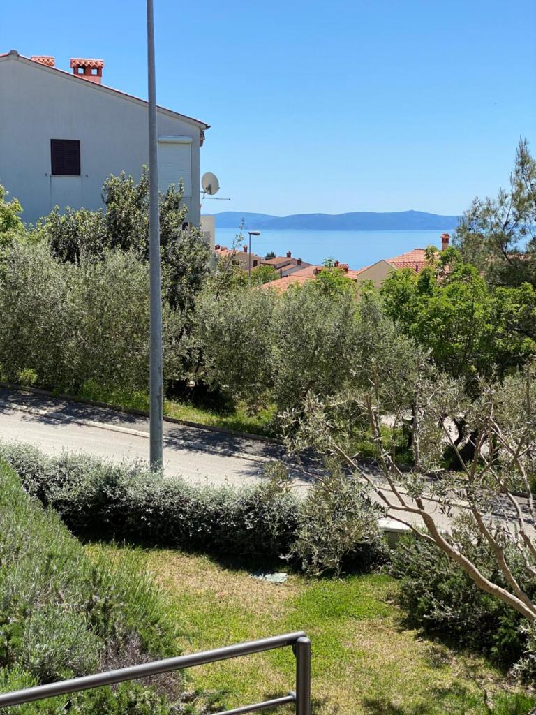 Apartments Braje photo 1