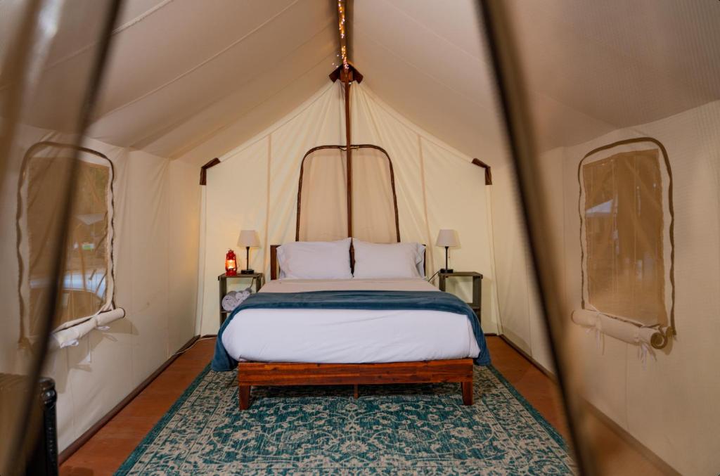 Wildhaven Sonoma Glamping photo 2