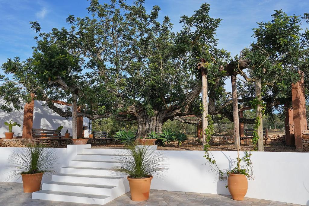 Villa Can Vicent photo 4