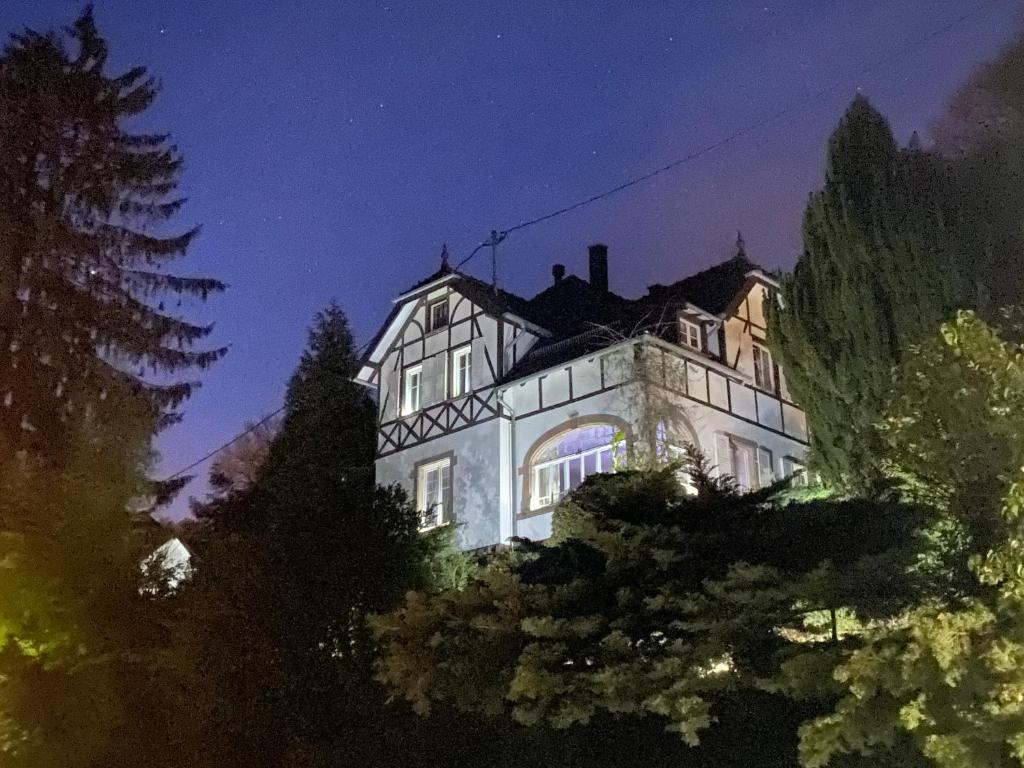 La Dependance de la Villa des Oiseaux - La Petite Pierre photo 3