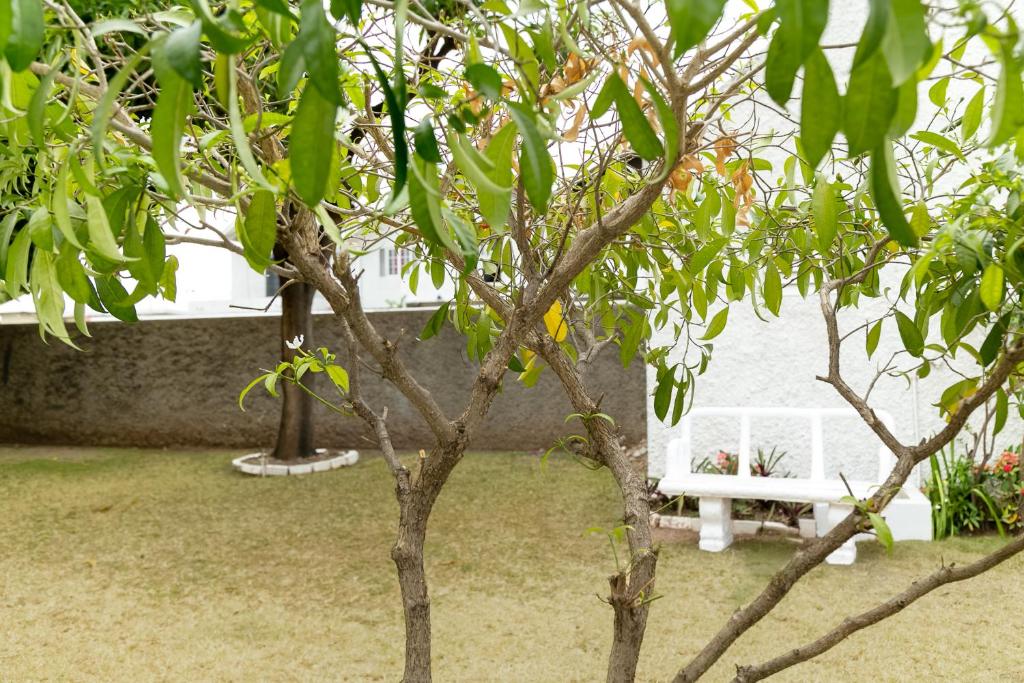 Kingston Vacation Rentals at Delightful Townhouse near Halfway Tree, Kingston photo 4