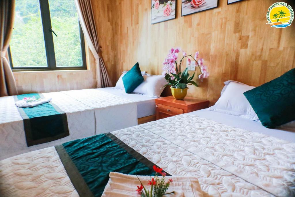 Семейный (Семейный номер с видом на горы), Cát Bà Vintage Homestay