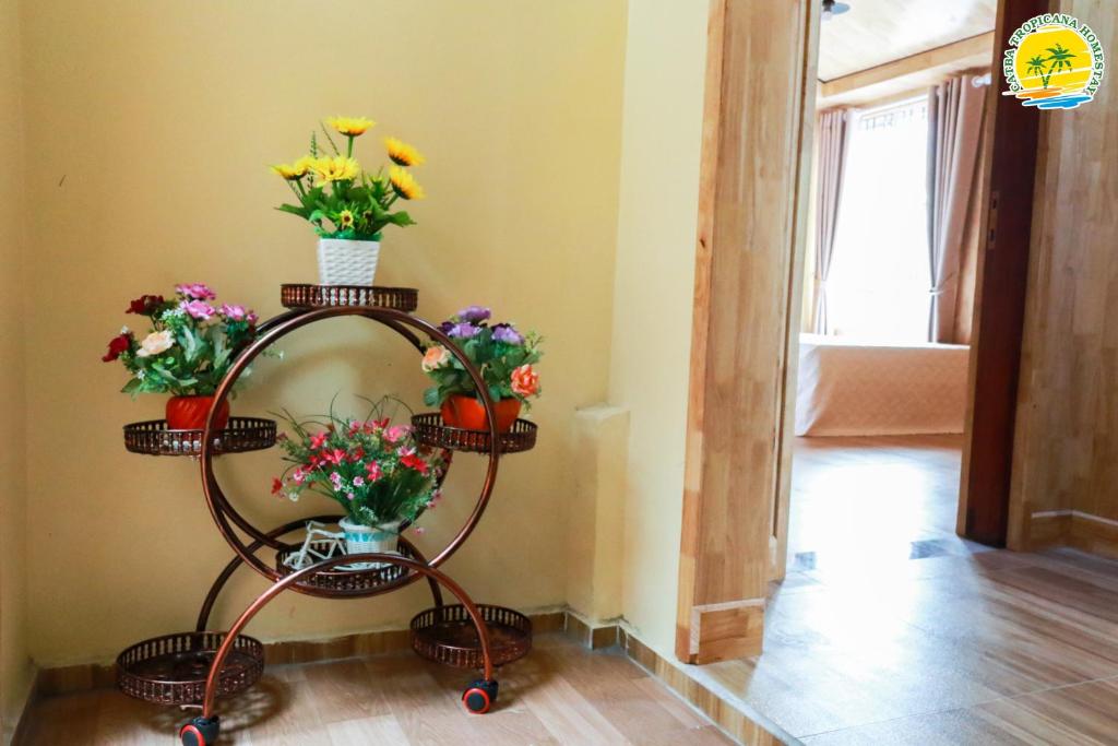 Двухместный (Двухместный номер Делюкс с 1 кроватью), Cát Bà Vintage Homestay