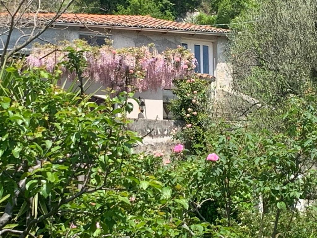 ANTICA CASA DEL CANTO Mirella photo 4