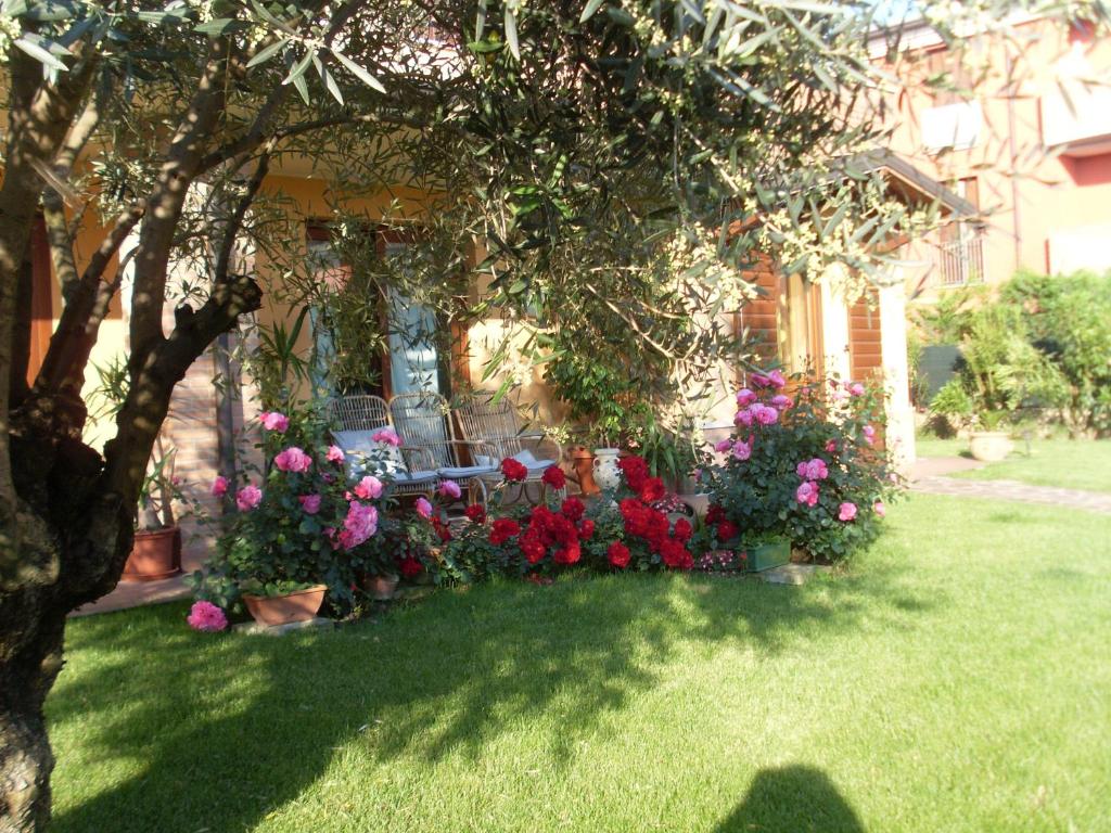 B&B La Dimora delle Calendule photo 1