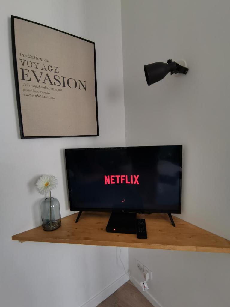 Jungle studio Gex - Ski - Netflix photo 2
