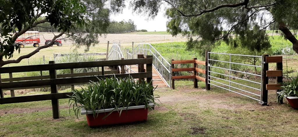 Estancia Renacimiento photo 4
