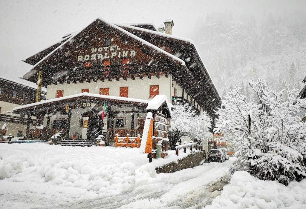 Hotel Rosalpina photo 1