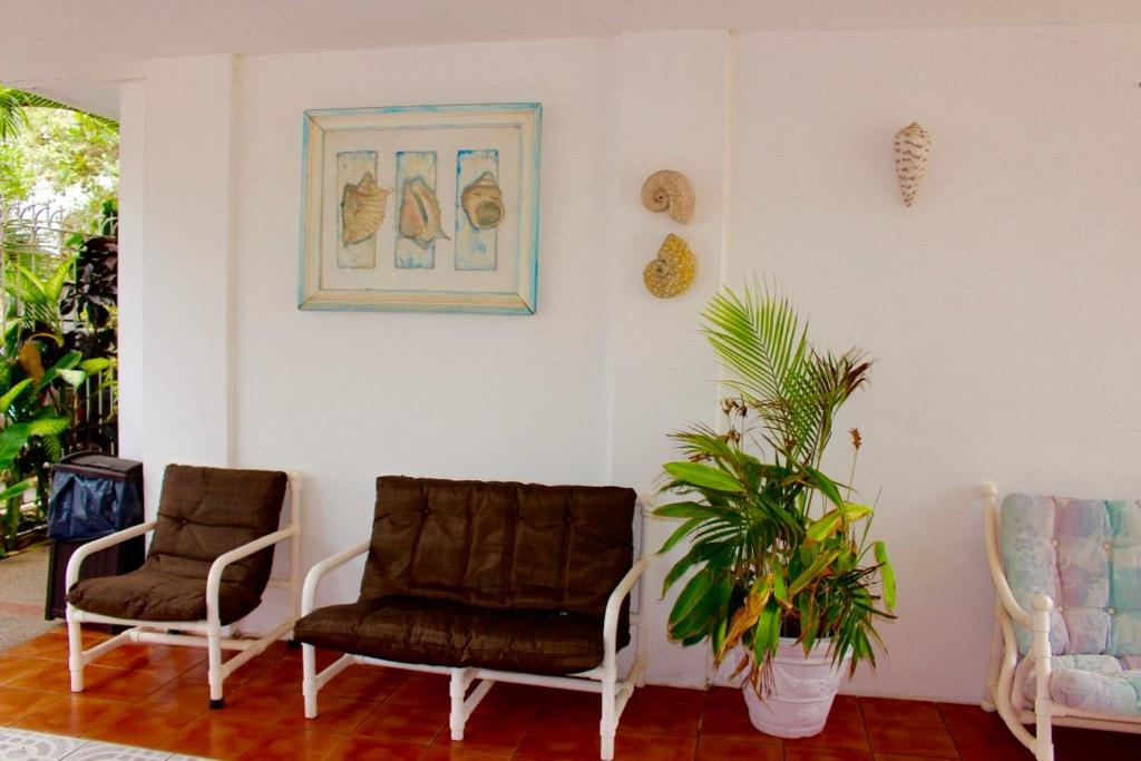 Hotel y Suites Corita photo 3