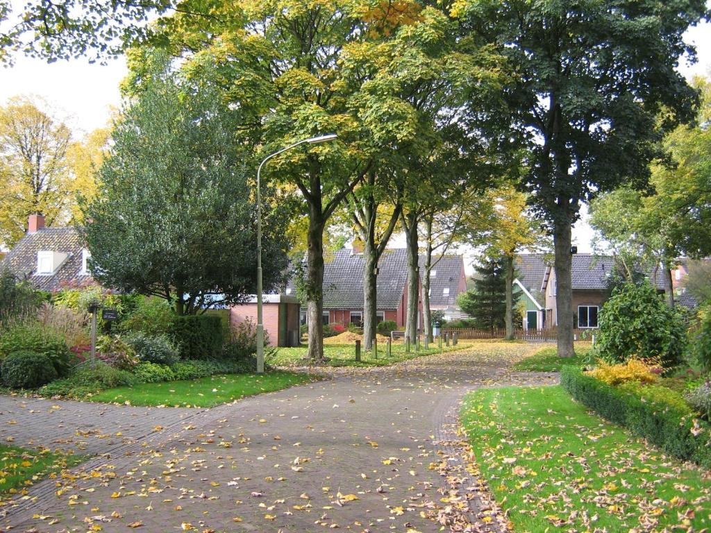 B&B De Esdoorn photo 2