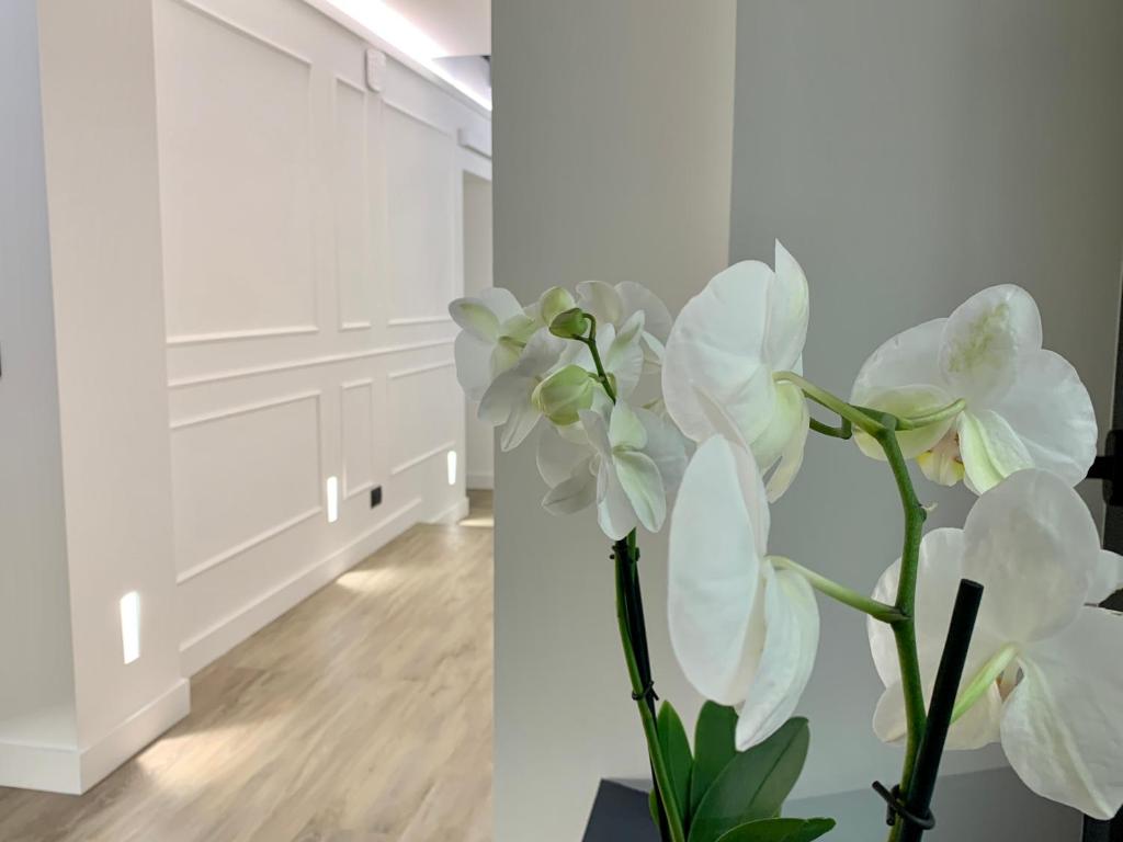 Toledo Boutique Rooms photo 2