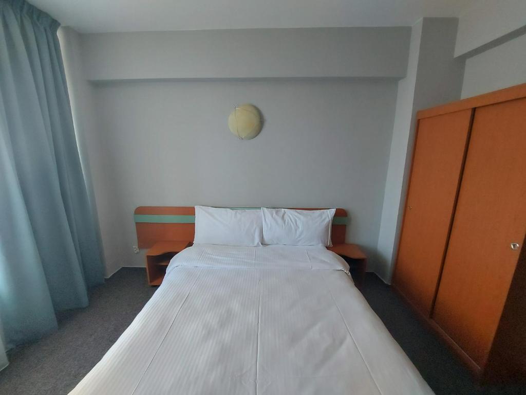 Двухместный (Стандартный двухместный номер с 1 кроватью), Elizeu Hotel