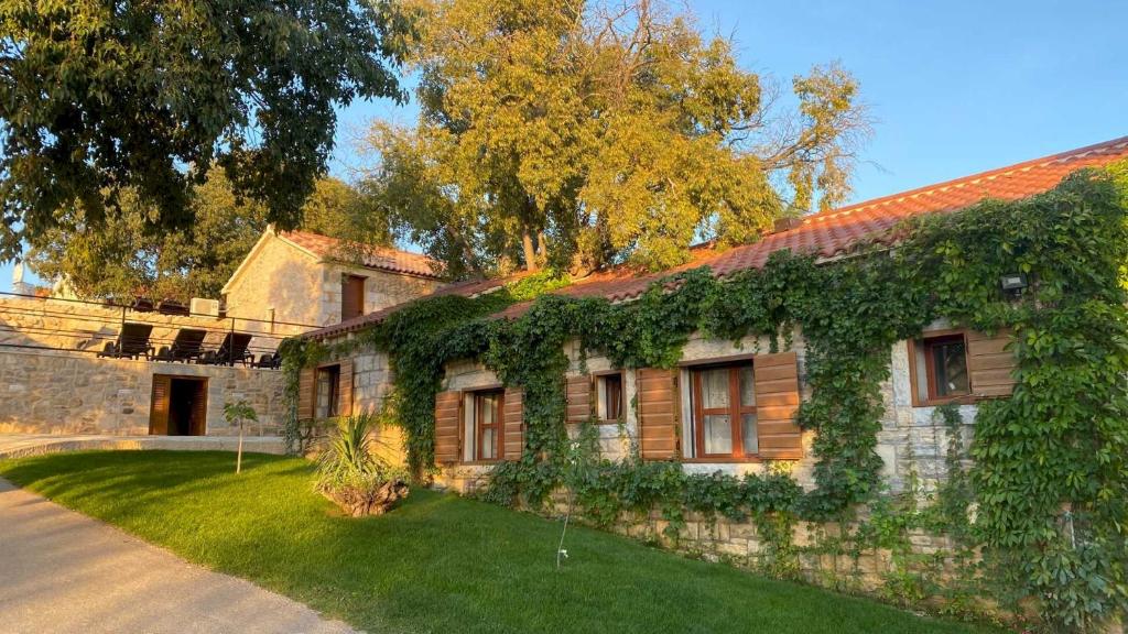 Stone Holiday Homes Stankovci with pool and Mediterranean gardens photo 1