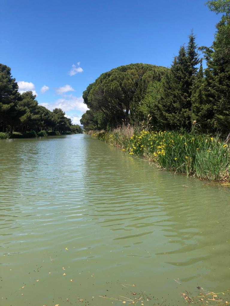 VILLA PINTOURINA photo 2