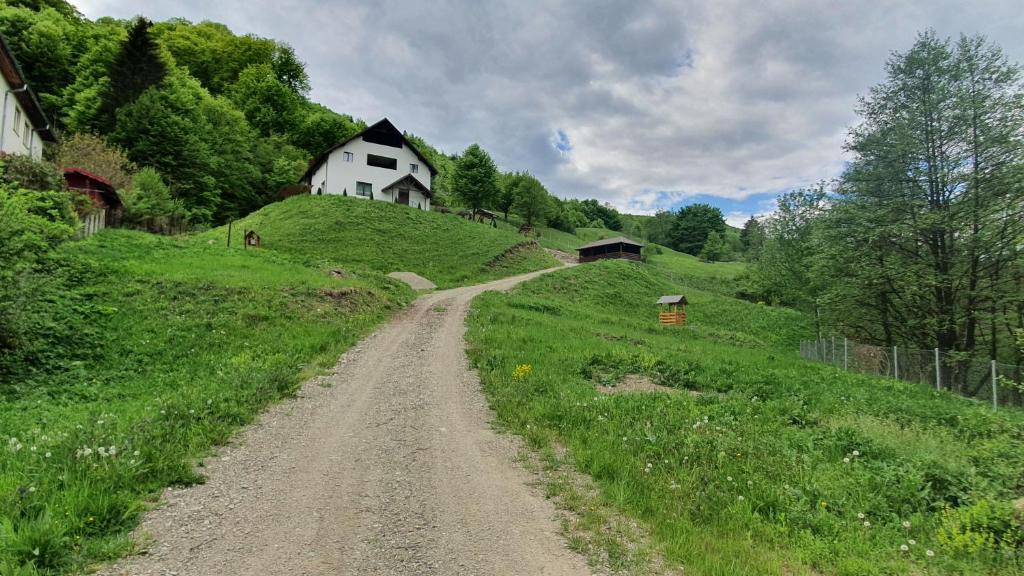 Zăvoarele photo 4