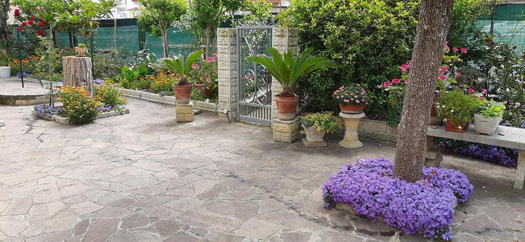 CasAmare b&b photo 1