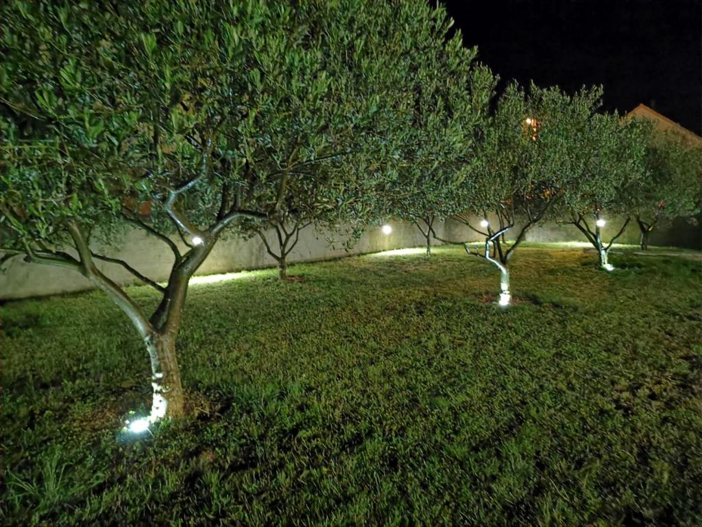 Holiday Home Intrade photo 3
