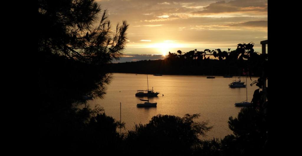 Calm Sea view photo 4