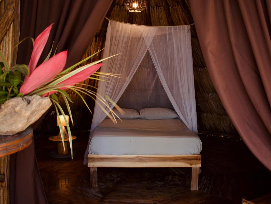 Los Hermanos Beach Hostal photo 1