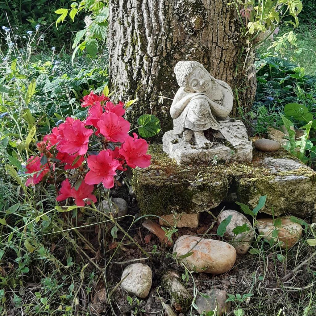 Le Clos de la Salamandre photo 1