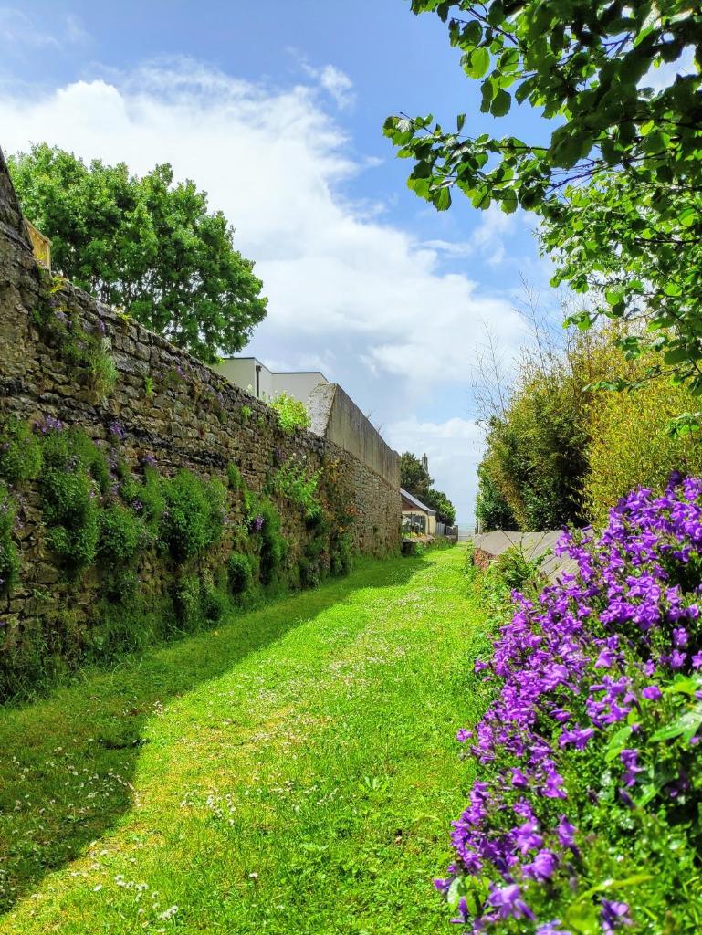 L'Océan à 100m via une venelle privée, la Ville Close à 500m, l'Archipel des Glénan à l'horizon photo 2