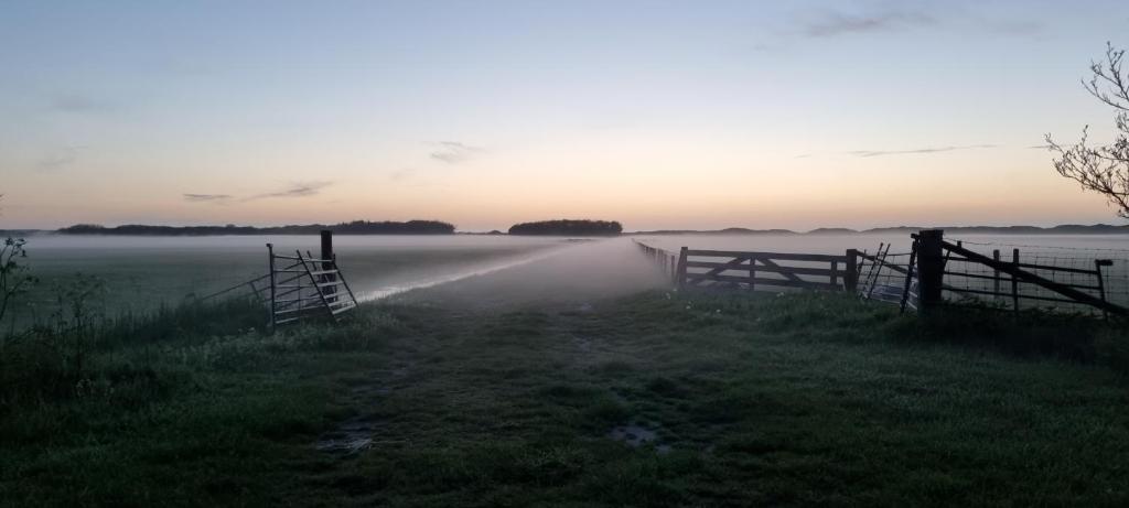 Hunsingo Texel photo 3