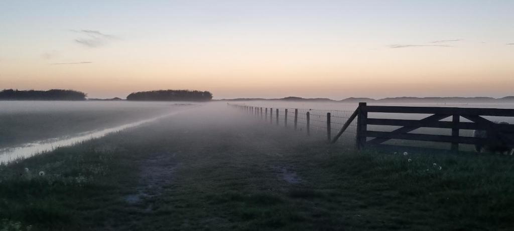 Hunsingo Texel photo 2
