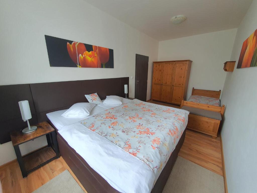 Apartmá na Hané photo 1