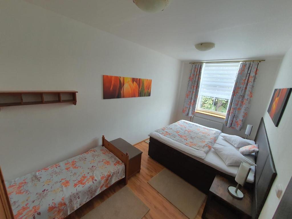 Apartmá na Hané photo 3