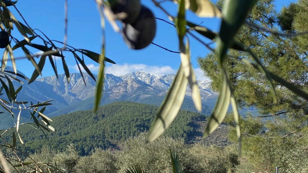Casa Rural Olivar de Gredos Entorno privilegiado con vistas de ensueño photo 3