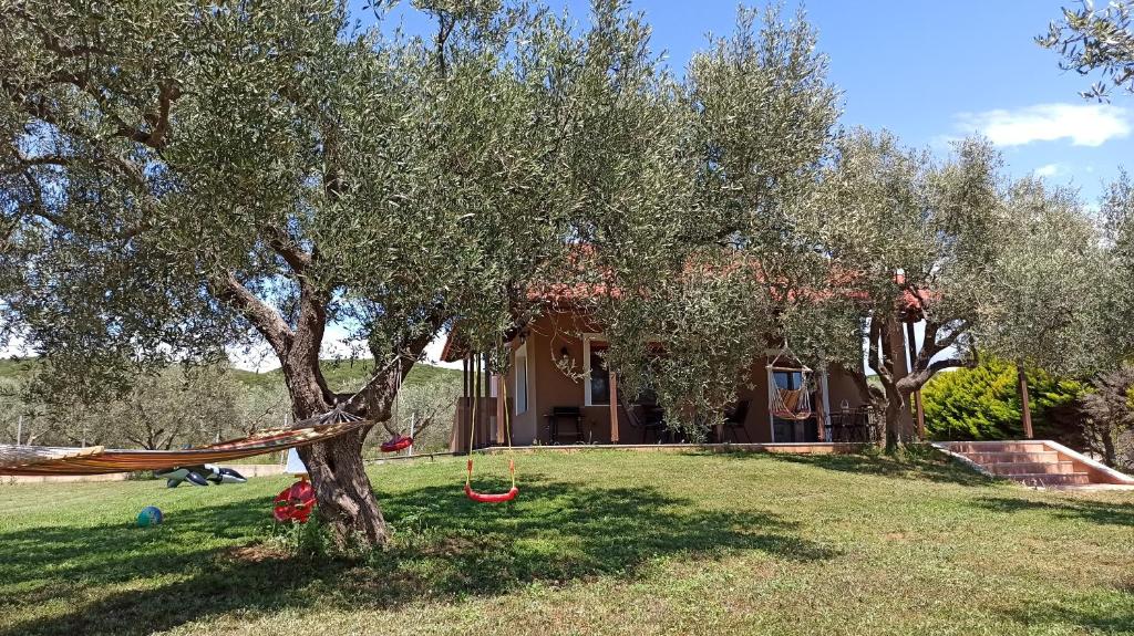 Casa Dikella photo 2