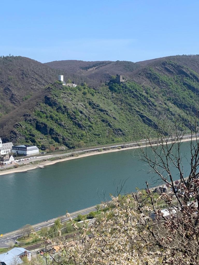 Idyllisches Zimmer in ruhiger Lage Boppard am Rhein photo 3